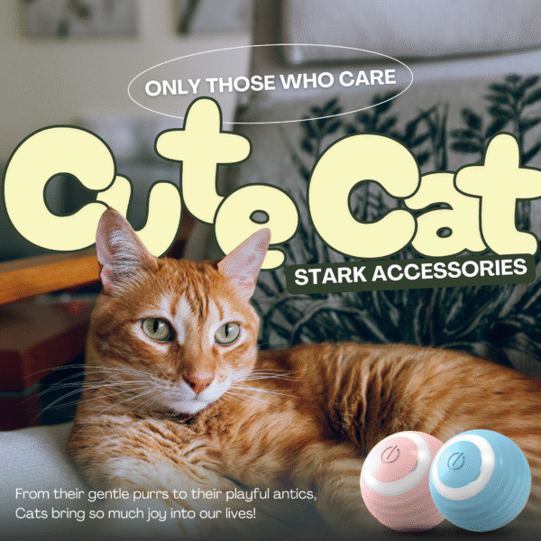 AUTOMATIC CAT TEASER BALL বিড়ালের খেলনা বল - Image 4